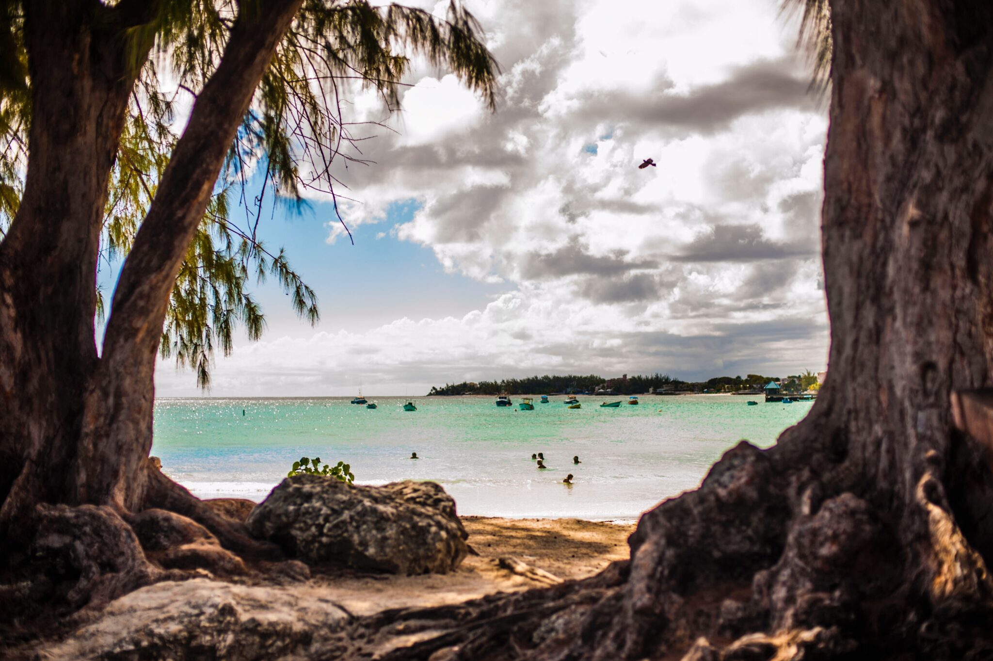 barbados-yellow-umbrella